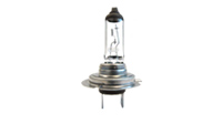 H7 Halogen Lamps